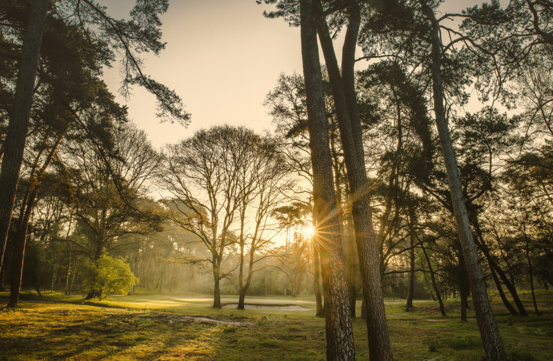 Out-Of-Bounds_Ryder-Cup_Golf-Fontainebleau